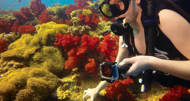 GoPro Red Dive Filter HERO4/3+/3 Standard housing 