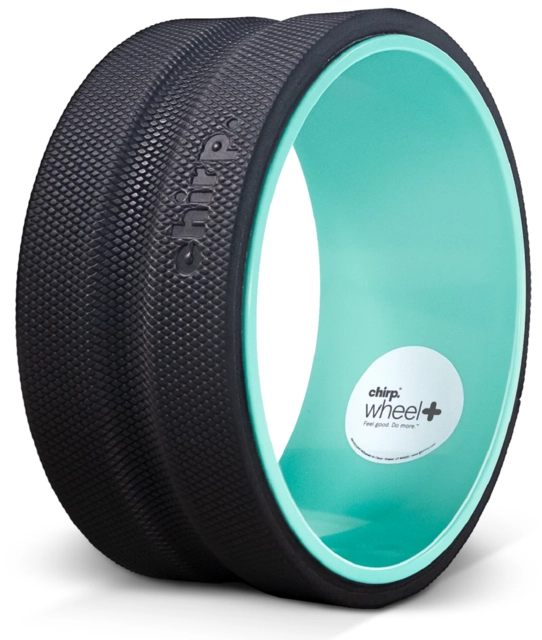 Chirp Wheel Plus 10" Firm 