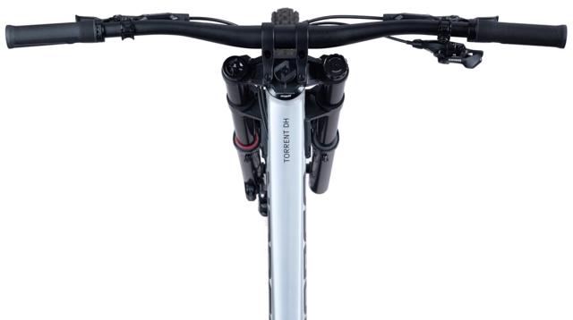 Norco Torrent DH SZ5 29"/27,5", Raw Alloy 
