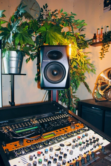 Pioneer DJ VM-50 5" Monitor Speakers, Singular - Black 