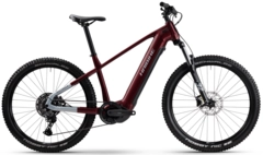 Haibike AllTrack 5 L 29'',Tuscan/Teal,YS2S,720Wh