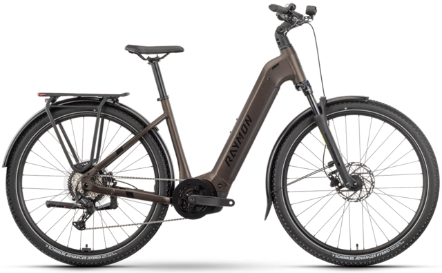 Raymon Tahona 600 mono M 29", tenmoku/black/honey, BP-CX, 600Wh 