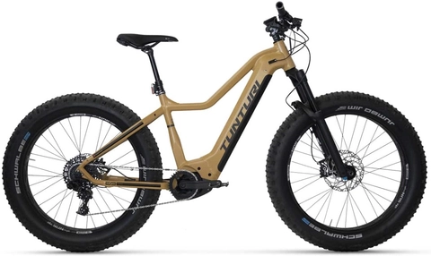 Tunturi EMax EBF600 26", beige/black/red, BCXK, 750Wh
