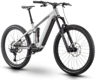 Raymon Durok Pro 29", Raw Alloy, AM2S, 800Wh