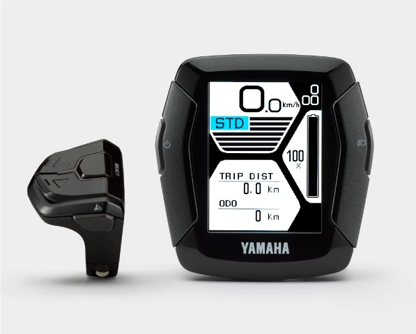 Yamaha Display Type C Raymon 